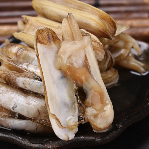 蛏子鲜活新鲜无沙野生大竹蛏贝壳类海鲜水产500g重庆四川海鲜圣子 - 图0