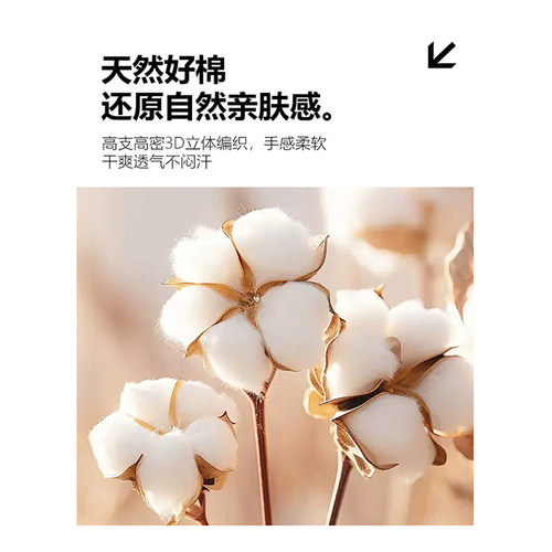 荞麦颈椎枕头连体枕护颈椎助睡眠三角枕成人硬荞麦壳枕可拆卸枕芯 - 图1