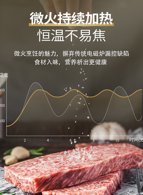 烧烤电烤盘聚嗨盘聚海盘烧烤炉
