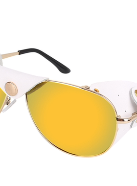 防风装备偏光真皮户外眼镜