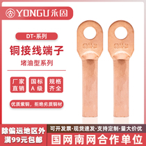 Copper nose DT-10-70-95-185-240 square wire nose wiring terminal National scale A grade copper connector Yonggu