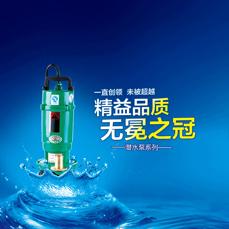 370W750W家用潜水泵抽水泵抽水机小型井水农用水泵一寸 220V-图0