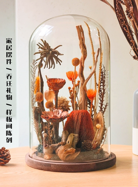 文艺复古现代真植物木底座玻璃罩