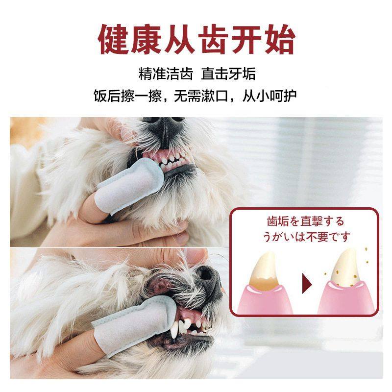 Kojima宠物洁牙指套湿巾牙齿湿巾猫狗口臭刷牙口腔清洁牙刷,淘宝优惠券,粉丝福利购,淘宝优惠卷