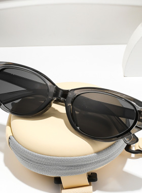 小框素颜太阳镜时尚便携高级感