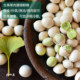 2025年新鲜白果银杏果云南腾冲糯白果老树生银杏果非即食干货500g