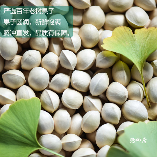 2025年新鲜白果银杏果云南腾冲糯白果老树生银杏果非即食干货500g