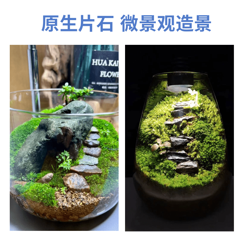 原生溪流石片石南美缸造景虾虎鳑鲏鳍鱲三湖主石底沙异形乌龟晒台 - 图0