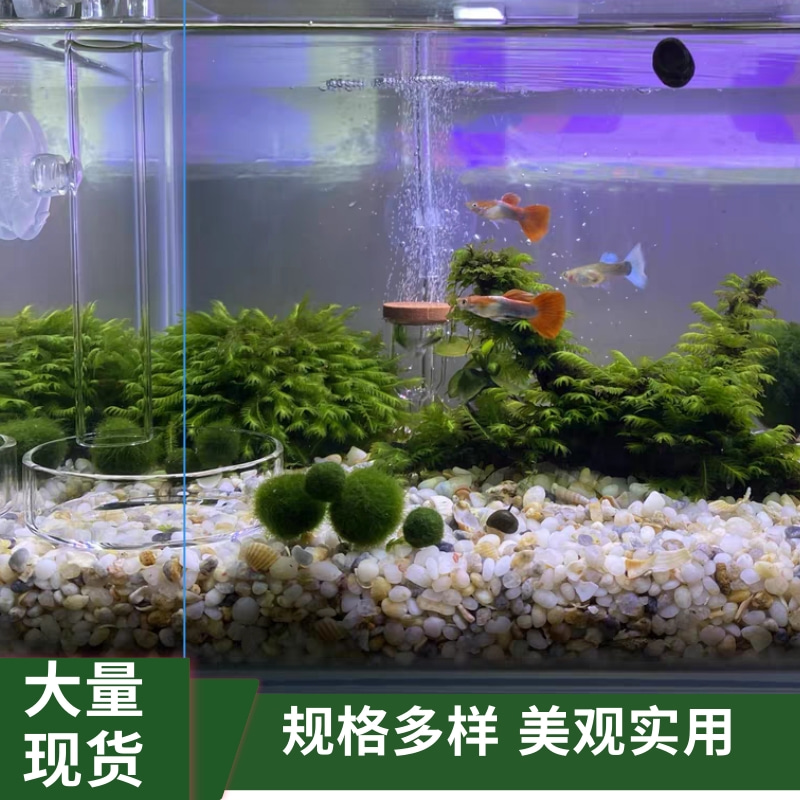 原生鱼缸底沙造景砂珍珠玉沙天然玉石水族箱造景装饰雨花石雨林沙 - 图1