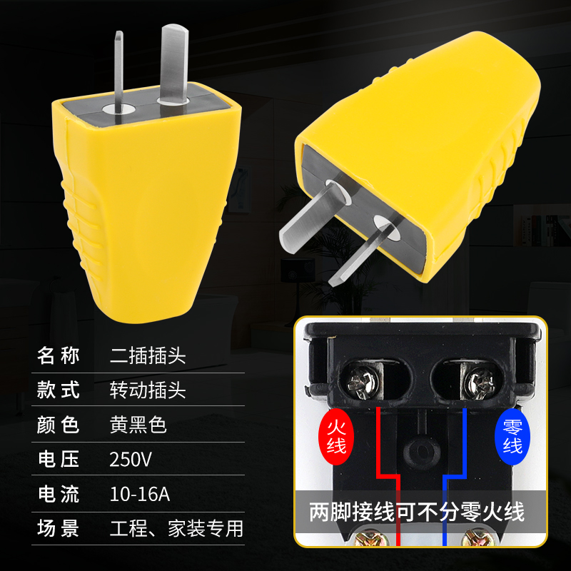 10只装10A二插单相10安防爆二极二角2项电源插头固定旋转二脚纯铜 - 图1