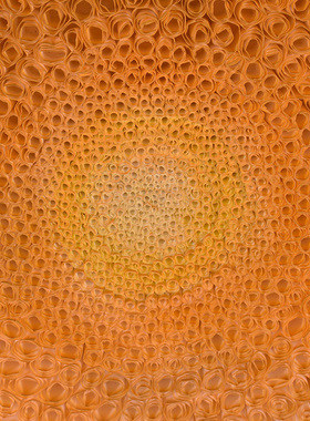 立体橙色花卉手工装饰画