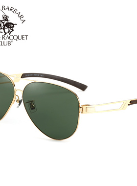 正品圣大保罗高清偏光太阳镜男款尼龙偏振蛤蟆镜潮驾驶镜PO.1809