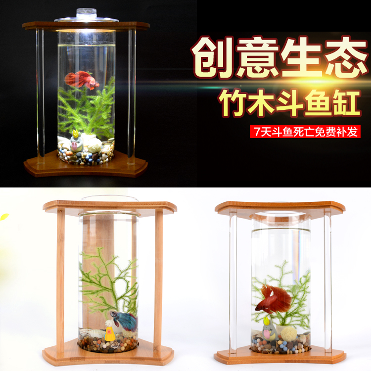 创意竹木玻璃桌面小型鱼缸懒人生态瓶半月斗鱼缸活体鱼观赏鱼缸 - 图0