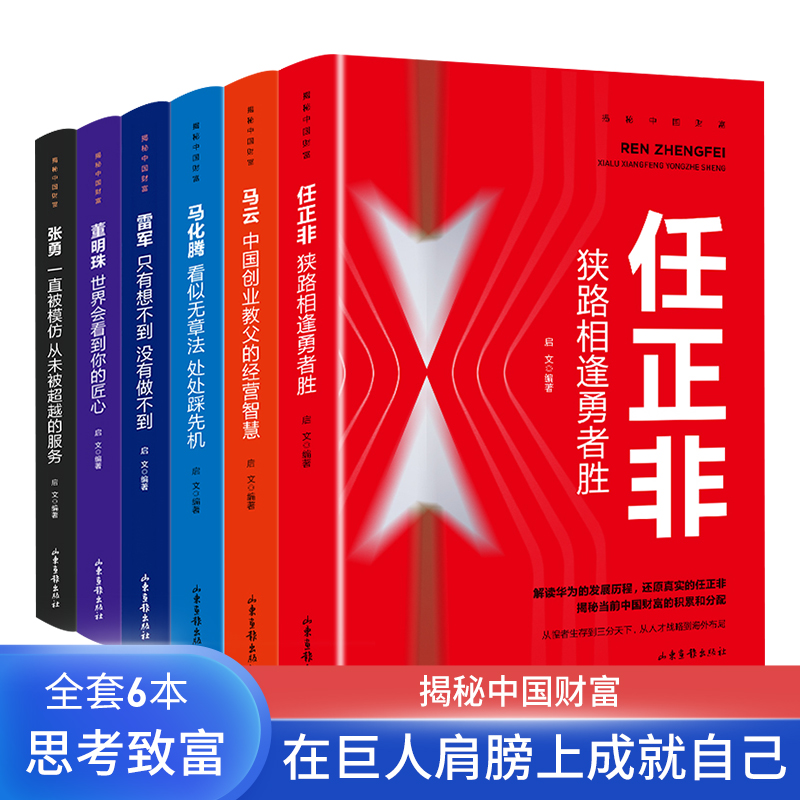 全套12本稻盛和夫揭秘中国财富+揭秘世界财富任正非马云马化腾雷军董明珠张勇商界人物创业干法和活法比尔盖茨巴菲特乔布斯互联网 - 图1