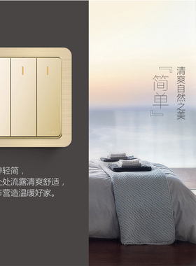 现代轻奢窄边装饰套免粘开关贴