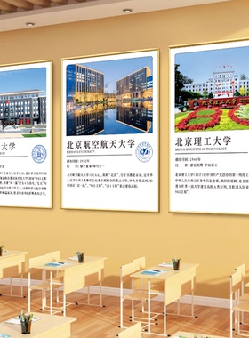 中国大学985211名校挂画学校教室班级励志海报挂图激励学习装饰画