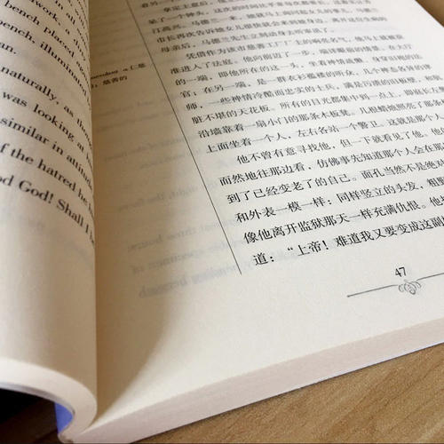 悲惨世界 英文原版+中文版 名著学英语书籍英汉互译中英文双语对照读物中学生阅读世界经典文学名着小说语法词汇 - 图3