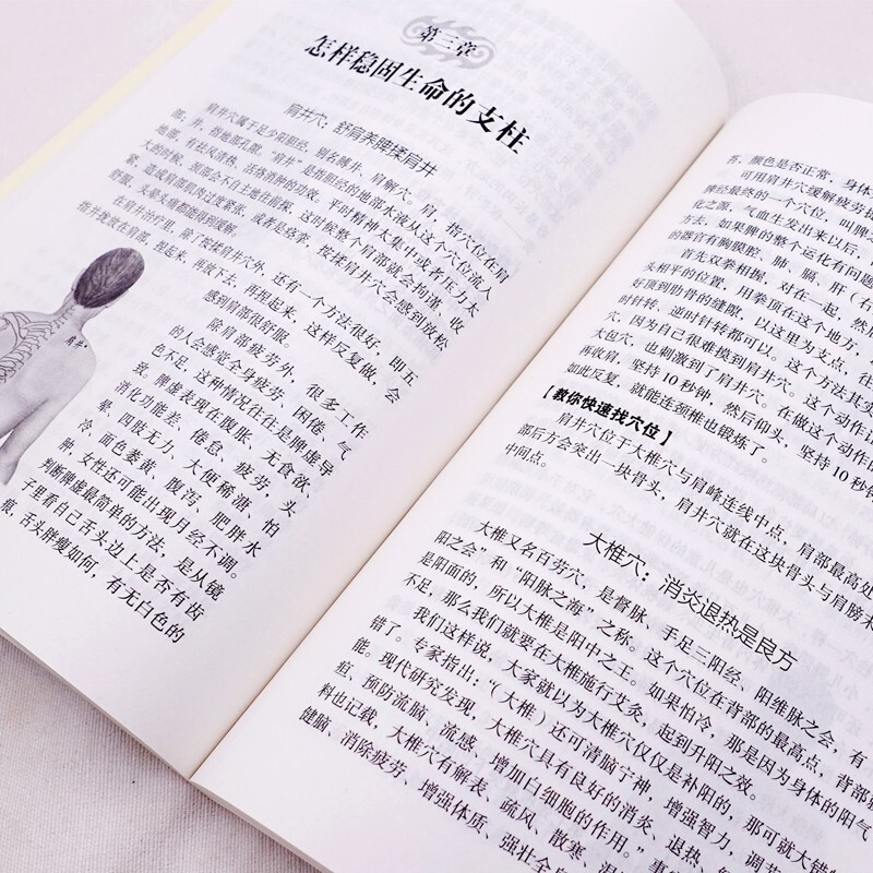 中医自学百日通正版中医诊断中医基础理论伤寒杂病论黄帝内经本草纲目千金方中医药理入门医学全书中医诊断学中医基础入门知识书籍_虎窝淘