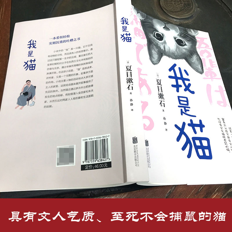我是猫夏目漱石笔下会吐槽的猫长篇小说代表作一只萌猫的日常以猫的视角冷眼观世界青少中学生阅读畅销书籍轻松幽默笔触活泼-图1