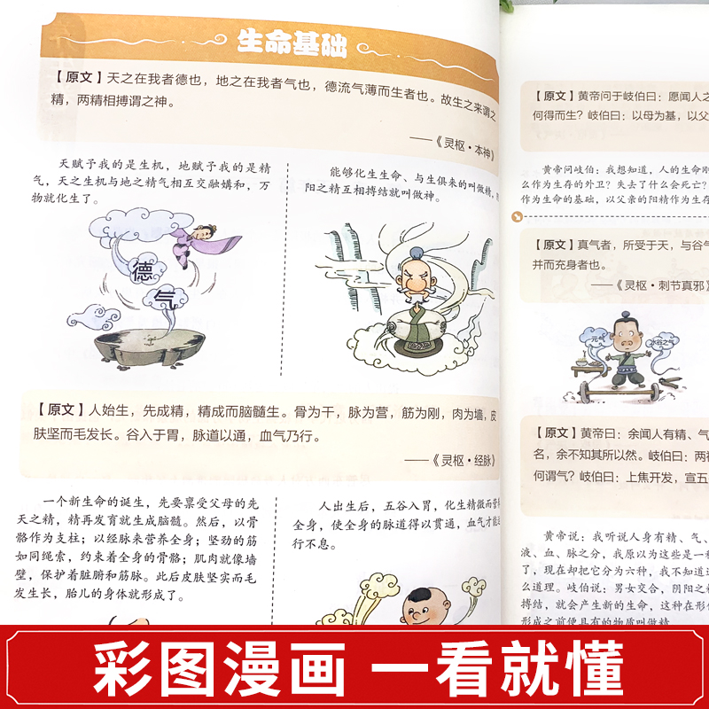 抖音同款】黄帝内经漫画图解原版正版漫画版讲透白话文皇帝内经彩图版四季养生法中医入门书籍全套千家妙方四大名著倪海厦儿童版 - 图1