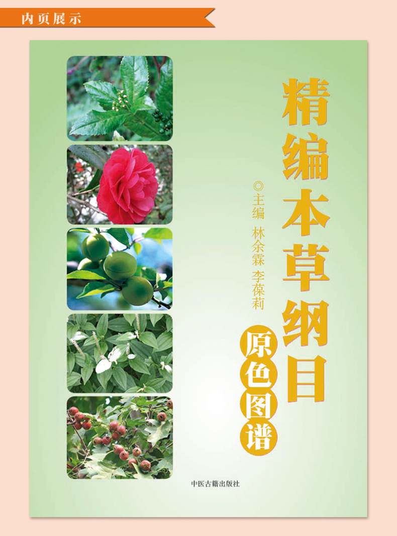 【全3册】精编中草药+本草纲目+中国药典中药原色图谱中草药全图鉴速查手册图谱中国药材图鉴大全常用中草药识别应用中医学书籍-图1