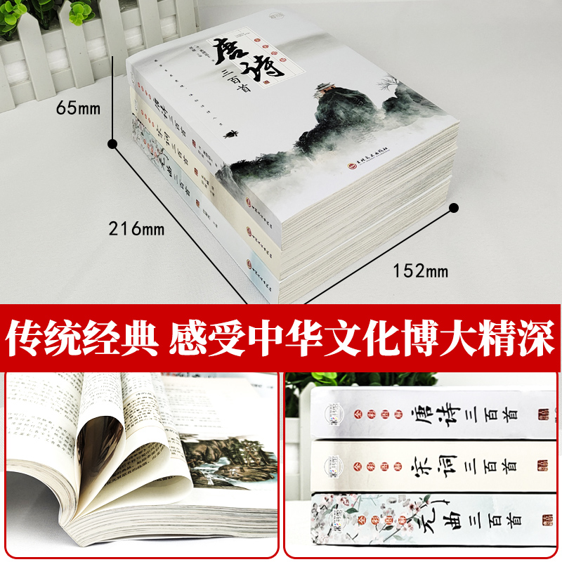 全套3册全彩唐诗宋词元曲正版全集唐诗宋词三百首唐诗宋词鉴赏大全集古诗词书籍注释译文全唐诗陆游李清照杜甫李白诗集元曲三百首 - 图1