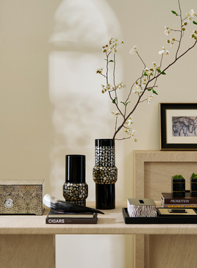 邸高中古客厅桌面托盘纸巾果盘