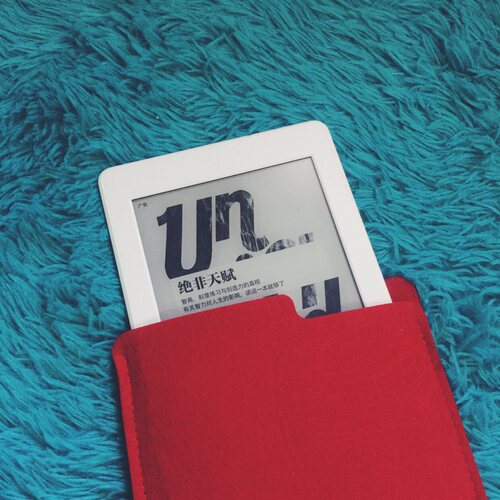 适用kindle paperwhite 6/3/4/5代2024款青春版内胆包oasis3 KPW5 499防护袋保护套收纳包便携防划防尘直插套 - 图2