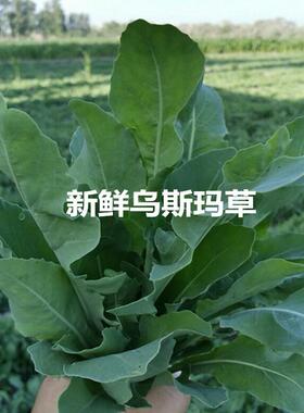 澳澌漫草自动生眉笔正品