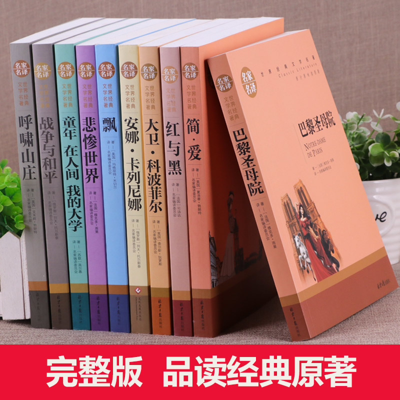 世界十大名著全套10册 简爱书籍 巴黎圣母院 战争与和平 悲惨世界书 飘正版原著文学原版畅销书经典小说必读中学生初中生课外阅读 - 图0