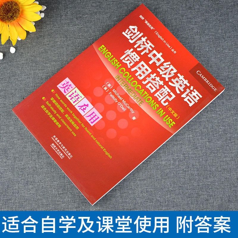 【正版现货】剑桥中级英语惯用搭配 中文版 英语在用外研社英语学习中级英语学习英语自学零基础四六级考研初高中大学英语语法大全 - 图0