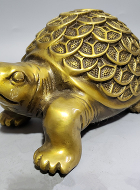 纯铜金钱乌龟摆件 客厅办公室店铺铜钱金龟茶宠 招财长寿家居祝寿