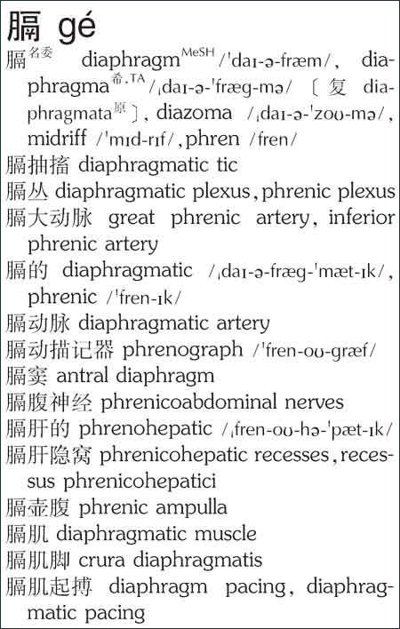 正版包邮中山英汉汉英医学词典外语教学与研究出版社医学英汉字典医学英语术语医学专业英语词汇学习词典考研复试工具书-图1