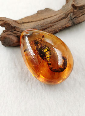人工树脂水滴形真昆虫琥珀