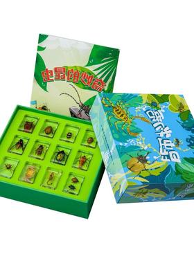 真实昆虫树脂标本透明金龟子蜘蛛蝎子摆件礼盒儿童生日圣诞节礼物