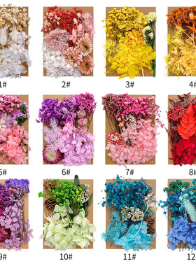 干花永生花材料包押花相框滴胶组合花材DIY团扇花材