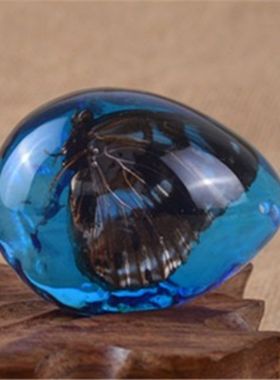 真昆虫标本海蓝蝴蝶蝎子制