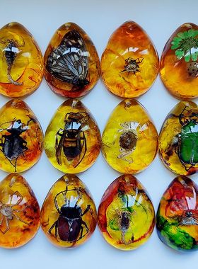 天然昆虫标本人造琥珀饰品