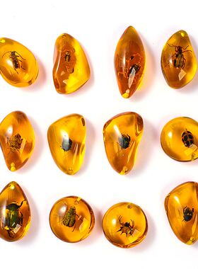 昆虫琥珀盲袋标本蝎子蜘蛛