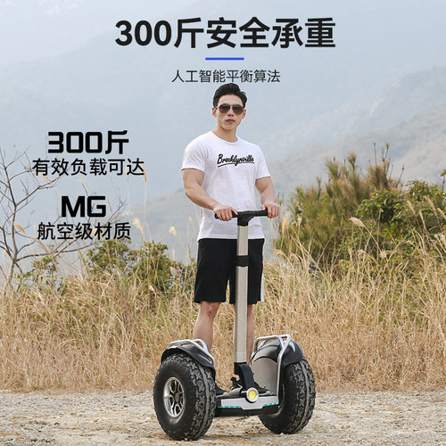 领奥智能电动自动平衡车智能上班成年代步双轮沙滩大轮胎巡逻越野 - 图3