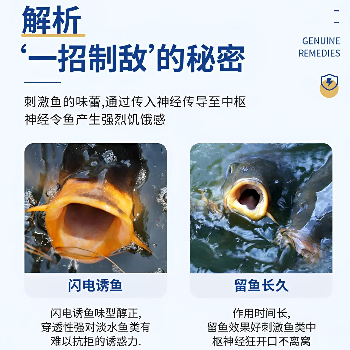 【拍一发十】游刃有鱼垂钓鲫鲤淡水鱼类四季通用可搓可拉鱼饵料,淘宝优惠券,粉丝福利购,淘宝优惠卷