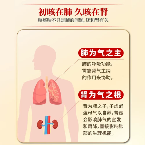 Ледоао Таоян Сюэксью Пероральный пероральный пероральный пероральный жидкость 14 Официальная Гудао Официальная подлинная Джикси Ики Западный женьшень снежный моллюско