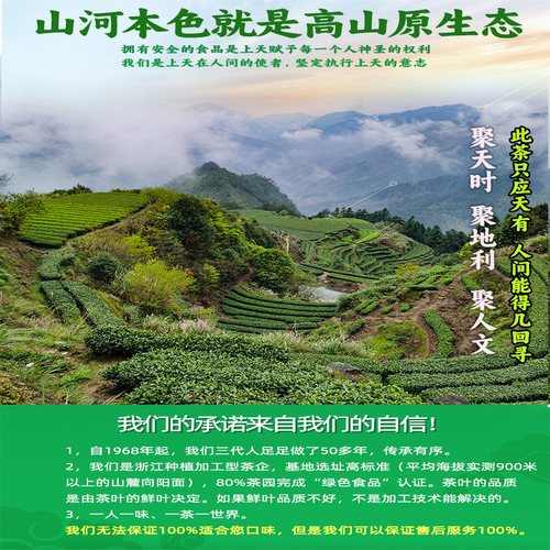 开园头摘龙井2026年新茶明前龙井茶特级绿茶茶250g嫩芽乌牛早 - 图2