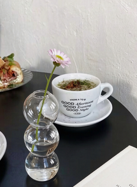 北欧ins风泡泡球玻璃花瓶高级感小众水培插花客厅餐桌装饰摆件