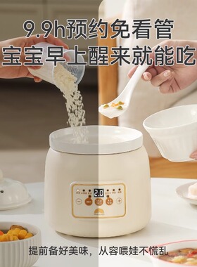 2025新款电炖锅一人食婴儿辅食炖锅煲汤专用家用汤煲炖汤自动