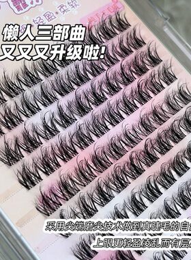5D水貂绒仿真凌乱假睫毛懒人自然