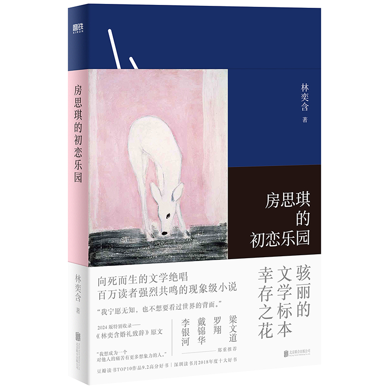 房思琪的初恋乐园 林奕含 2024新版简体中文 一字一刀直面文学与恶 洛丽塔的主体性自述 现当代散文青春文学随笔励志真实故事畅销 - 图3