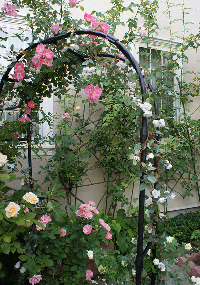 拱门花架爬藤架葡萄植物支撑架月季花支架攀爬户外拱