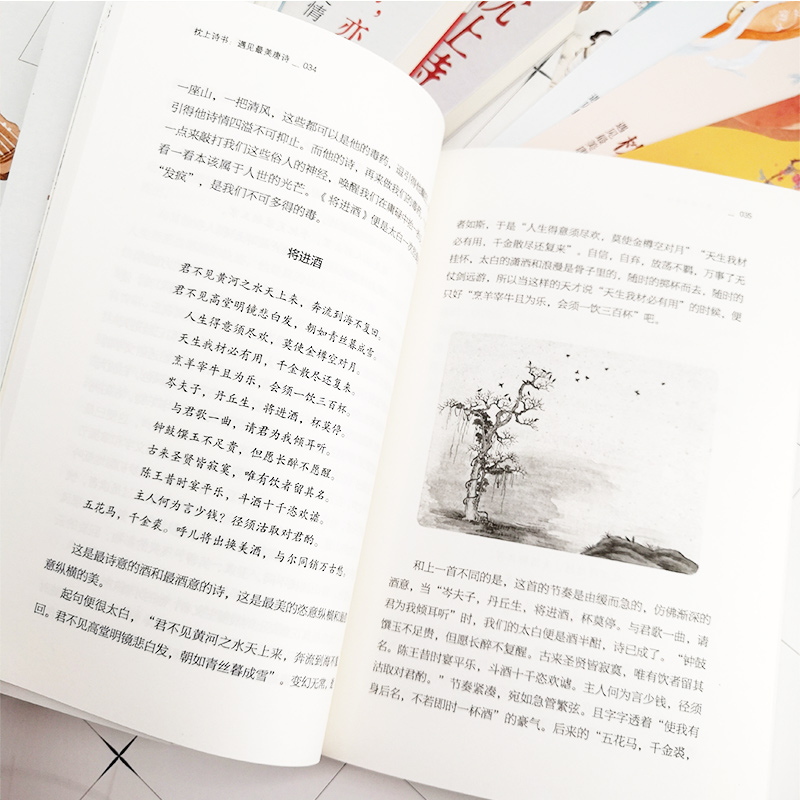 正版现货 中国诗词大会枕上诗书4册 遇见最美宋词遇见最美唐诗他们有才亦有爱 古诗词歌赋书籍畅销书排行榜高清大图