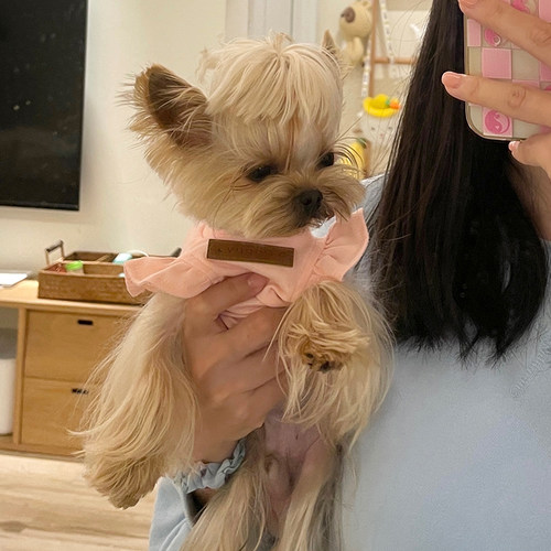 小甜粥纯棉花边背心小飞袖马尔济斯约克夏狗狗猫咪宠物衣服泰迪 - 图1